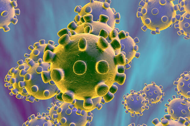 Koronavirüs nasıl bir virüstür?