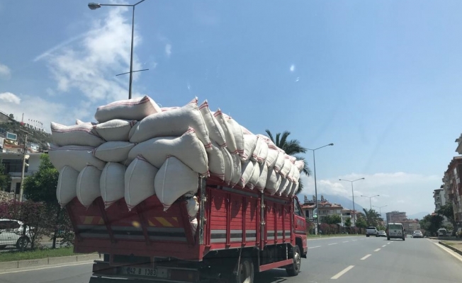 Alanya'da saman yüklü kamyonun tehlikeli yolculuğu