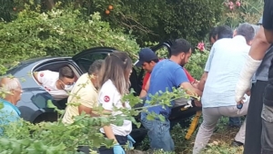   Alanya'da kontrolden çıkan otomobil bahçeye uçtu: 1 yaralı