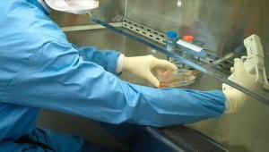 Almanya'da ikinci Kovid-19 aşısı test izni CureVac'a verildi