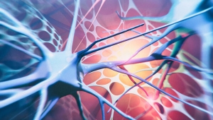 ALS hastalığına fren olacak ilaç yolda