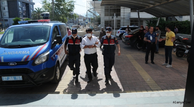    Türktaş Mahallesi'nde uyuşturucu yetiştirdi, tutuklandı