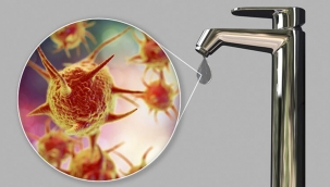 Beyin yiyen amip yüzünüzü yıkarken bile bulaşabilir!