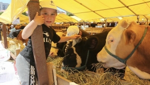 Bilim Kurulu Üyesi Özlü: Kurban etinde bulaş riski olabilir