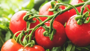 Domatesin faydaları nelerdir?