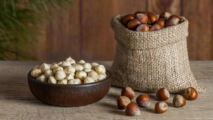 Fındığın faydaları nelerdir? İşte fındığın besin değerleri…