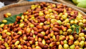 Hünnapın faydaları ve zararları nelerdir? Hünnap nasıl tüketilir, fazla yenirse ne olur?