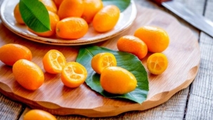 Kamkatın faydaları ve zararları nelerdir? Kamkat nasıl yenir, meyvesi ne zaman toplanır?