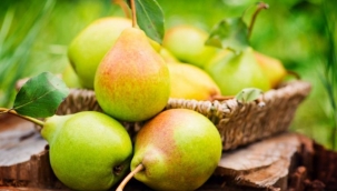 Kanseri önler, bağışıklık sistemini güçlendirir… İşte armutun faydaları