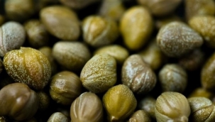 Kaparinin faydaları ve zararları nelerdir? Kapari nasıl tüketilir, nelere iyi gelir?