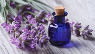 Lavanta yağı nedir? Lavanta yağının faydaları nelerdir?