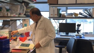 Onay alırsa insanlık tarihinde bir ilk olacak: Enfeksiyona karşı gen aşısı kullanılabilir