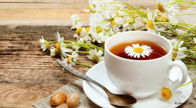 Papatya çayının faydaları nelerdir? İşte şifalı bitki papatya çayının faydaları..