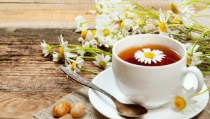 Papatya çayının faydaları nelerdir? İşte şifalı bitki papatya çayının faydaları..