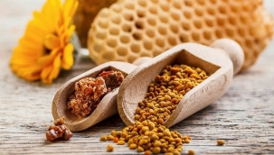 Propolis nedir ve faydaları nelerdir? İşte propolisin sağlığa olan inanılmaz yararları ve etkileri