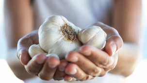 Sarımsağın faydaları nelerdir, nelere iyi gelir? İşte şifa deposu bitkisel mucize sarımsağın faydaları