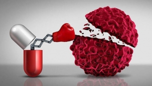 Tek arkadaşı "annesi" olan 7 yaşındaki çocuk lösemiyi yendi