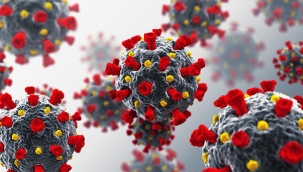 Corona virüs hakkında çıkan haber sayısı 34 milyonu aştı