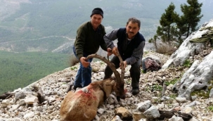 AV FAALİYETLERİ SIKI DENETİME TABİ OLACAK