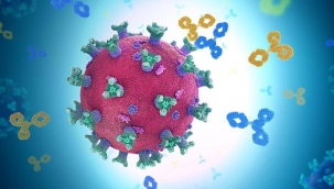 Covid-19'a karşı vücudun ürettiği antikor ne kadar süre koruyor?