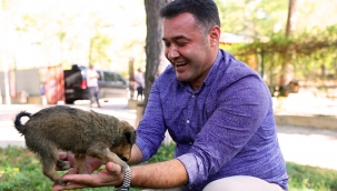 BAŞKAN YÜCEL 4 EKİM HAYVANLARI KORUMA GÜNÜNÜ MİNİK EKİM İLE KUTLADI