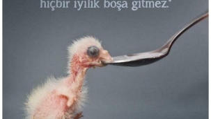 Bilimadamlarına Göre İyilik Yapanlar Daha Mutlu 