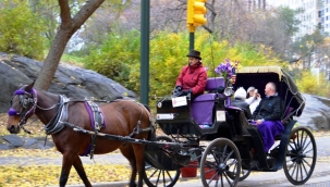 Central Park Türk Faytonculara Emanet