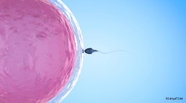Endometriozis varken tüp bebek tedavisi uygulanabilir mi?