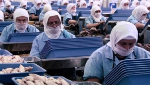 Kısa çalışma ödeneği ve işten çıkarma yasağı 2 ay daha uzatıldı