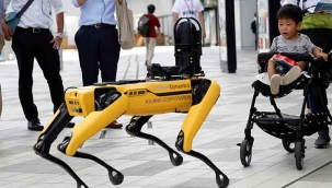 Meşhur robot Spot'a önümüzdeki yıl yenilikler gelecek