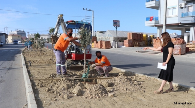 PAYALLAR SANAYİ CADDESİ ÜZERİNE YENİ YAPILAN REFÜJDE BİTKİLENDİRME ÇALIŞMALARI BAŞLADI