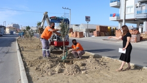 PAYALLAR SANAYİ CADDESİ ÜZERİNE YENİ YAPILAN REFÜJDE BİTKİLENDİRME ÇALIŞMALARI BAŞLADI
