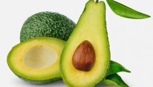 Avokado talebine yetişemeyen üreticiler restoranlardan çekirdek topluyor