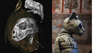 Bilim adamları 3D taramalar kullanarak eski Mısır'ın mumyalanan hayvanları hakkında yeni bilgiler ediniyorlar.