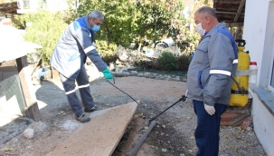 İlçelerde sinekle  mücadele sürüyor