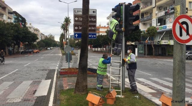 Alanya'daki sinyalizasyon üniteleri yenileniyor.