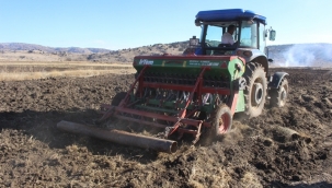 Antalya Büyükşehir tarım, hayvancılık ve arıcılığı destekliyor.