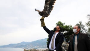 BAŞKAN YÜCEL TEDAVİSİ TAMAMLANAN KARTALI DOĞAYA SALDI