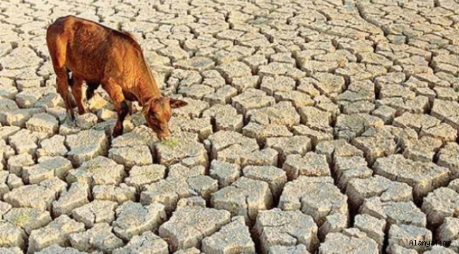 Birleşmiş Milletler Gıda ve Tarım Örgütü, artan su kıtlığının ciddi etkilerine karşı uyarıda bulundu. 