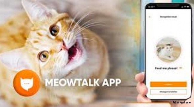 Kedilerin miyavlamalarını tercüme eden uygulama 'MeowTalk'