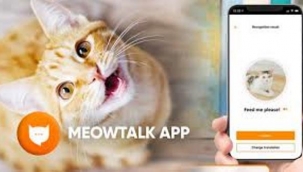 Kedilerin miyavlamalarını tercüme eden uygulama 'MeowTalk'