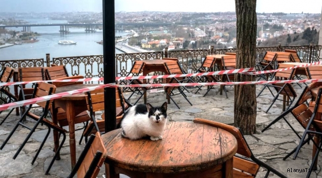 Ahmet Hakan'dan Koronavirüs Bilim Kurulu üyelerine: Açın lokanta ve kafelerin önünü, duyun feryadı