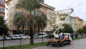 ALANYA BELEDİYESİ SOKAĞA ÇIKMA YASAĞINI FIRSATA ÇEVİRDİ