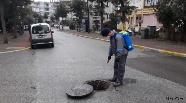 Antalya Büyükşehir sinek ve haşereyle  mücadelesini sürdürüyor