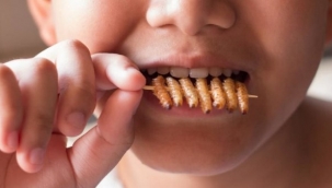 Avrupa Birliği'nden böcek içeren gıdalara yeşil ışık