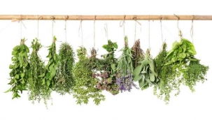  ''DÜNYADAKİ TIBBİ AROMATİK BİTKİLERİN YÜZDE 6'SI ÜLKEMİZDE"