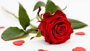 Gül Çiçeğinin Hayatımızdaki Yeri 