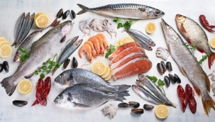 Hangi Balık Hangi Ayda Yenir?