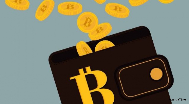 İçinde 220 milyon dolar olan Bitcoin cüzdanının şifresini kaybetti: Son iki tahmin hakkı kaldı