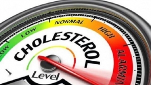 Kolesterolü düşürmede etkili olan besin takviyeleri